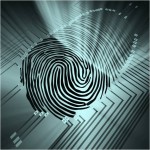 Digital fingerprint